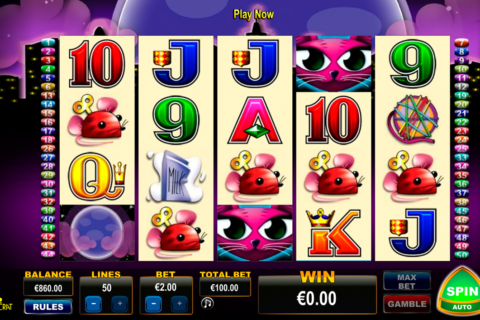         Miss Kitty slot online picture 2