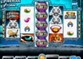         Tally ho slot online picture 10