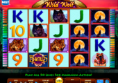        Gopher Gold Slot online picture 14