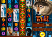        Slots grátis para diversão picture 26